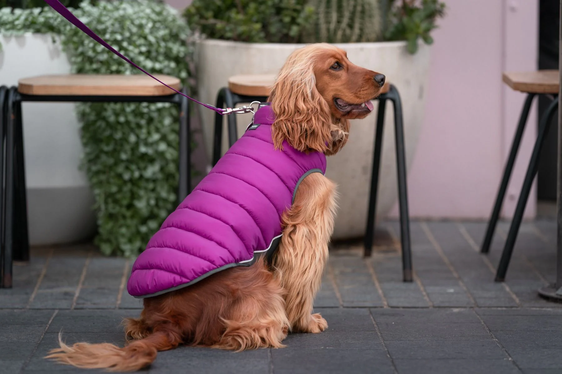 Red Dingo Puffer Jacket Plum/Hot Pink - Image 3