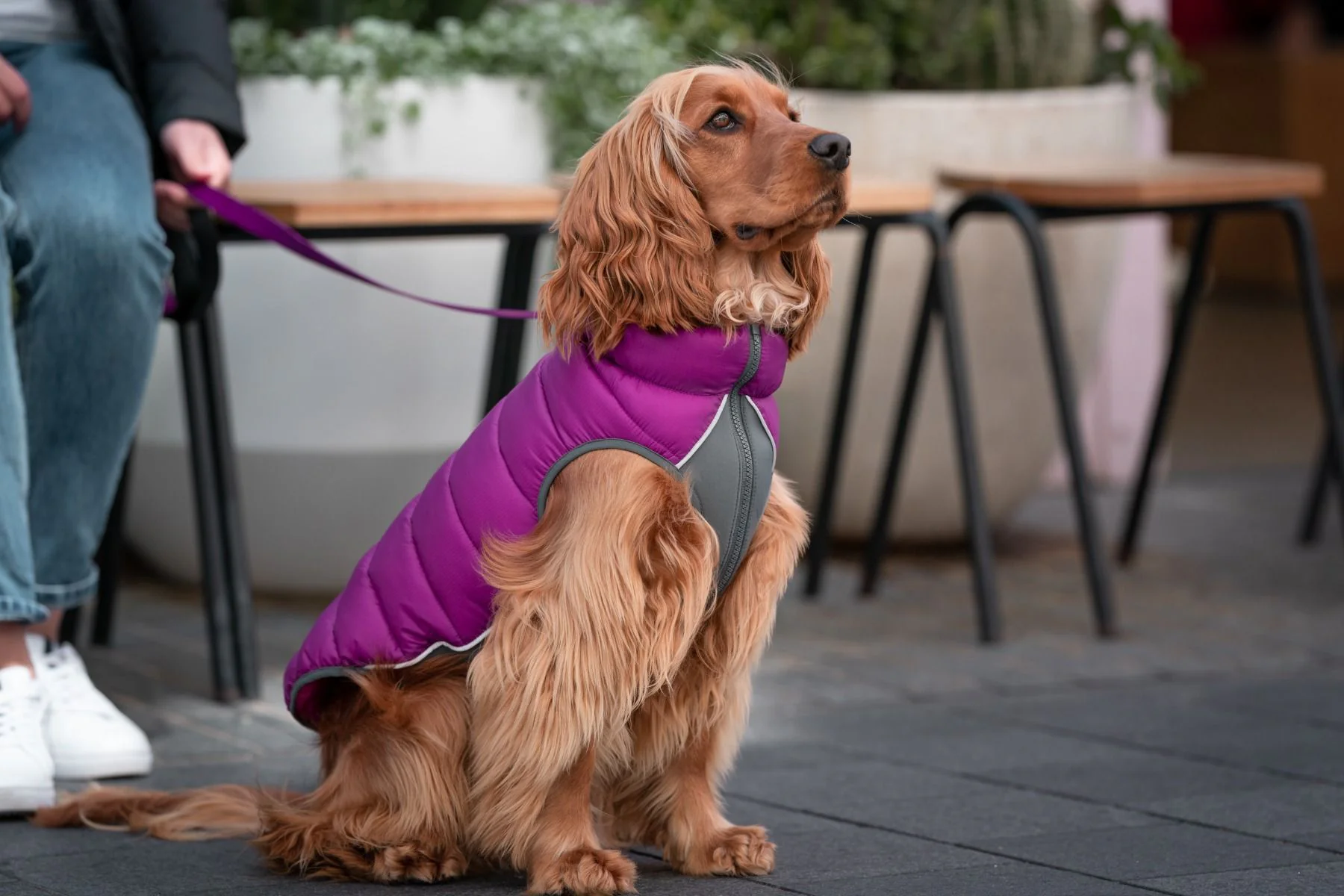 Red Dingo Puffer Jacket Plum/Hot Pink - Image 5