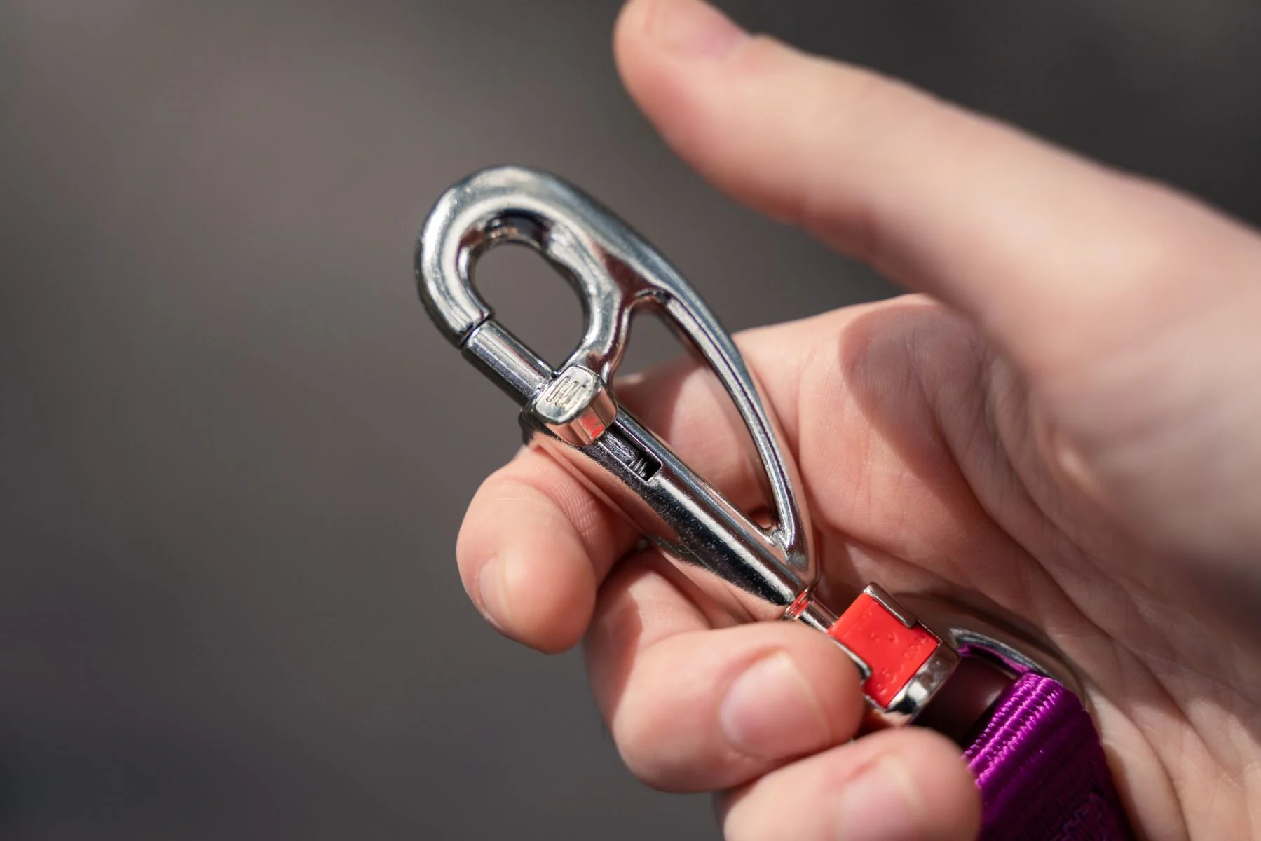 Red Dingo Multipurpose SuperLead Plain Hot Pink - Image 7