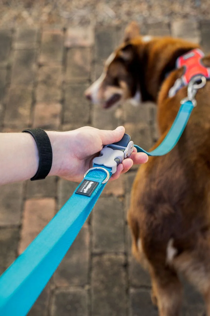 Red Dingo Multipurpose SuperLead Plain Purple - Image 3