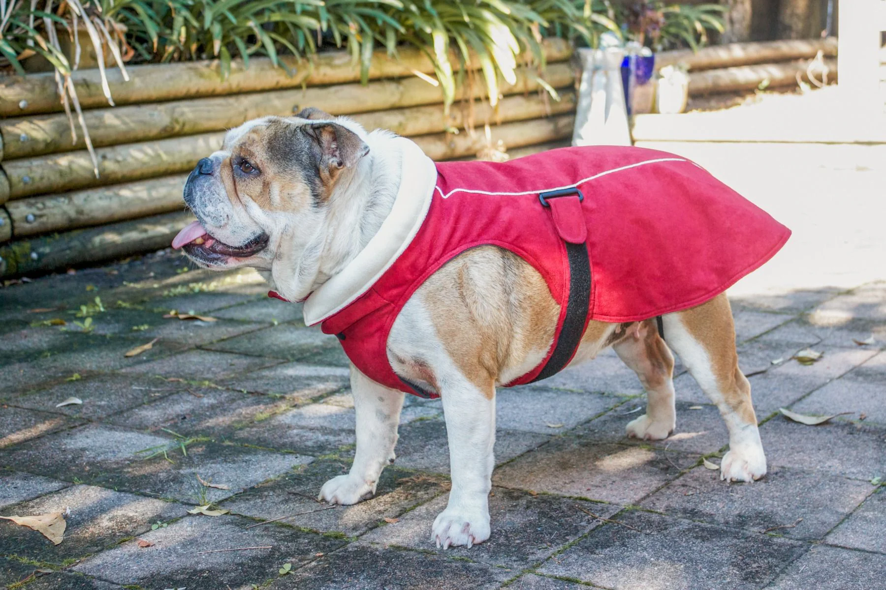 Red Dingo Perfect-Fit Warm Coat Black - Image 3