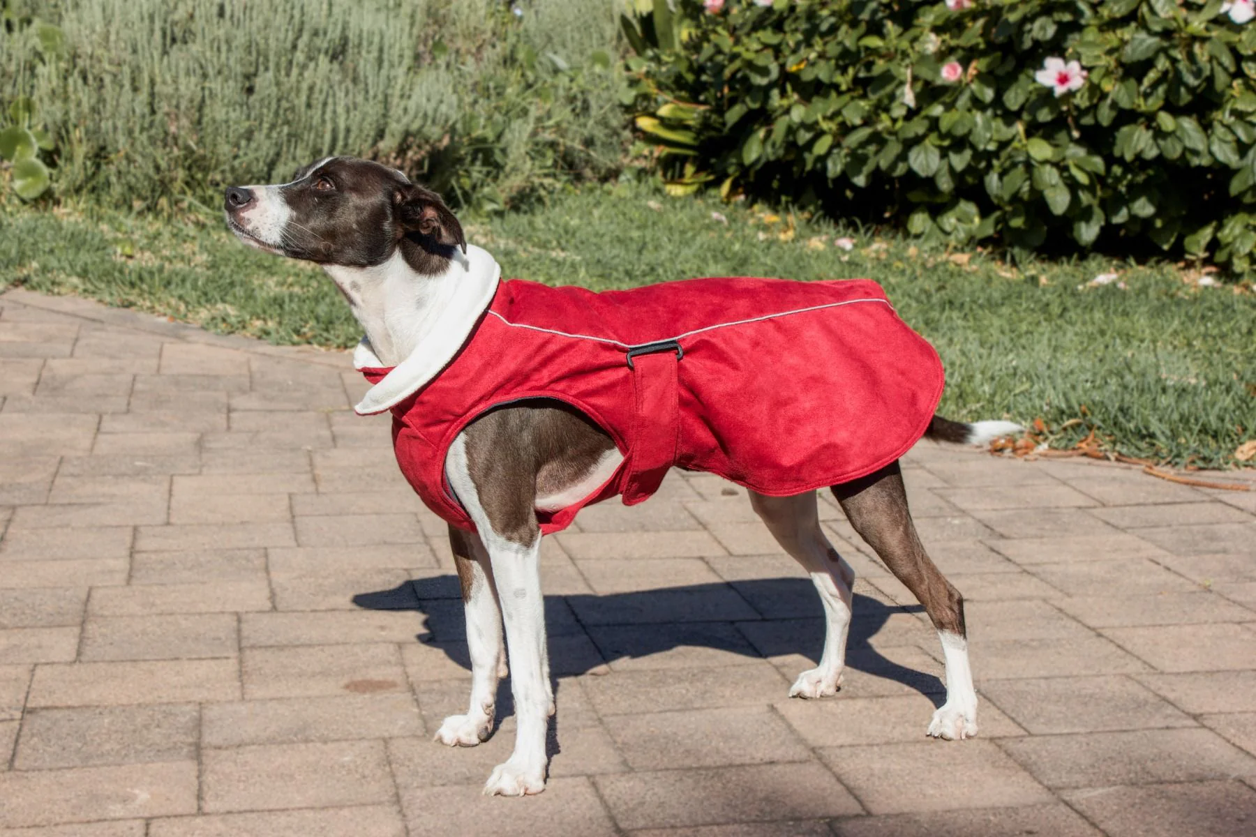 Red Dingo Perfect-Fit Warm Coat Olive - Image 3